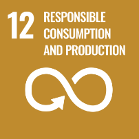 Goal 12: Responsible consumption and production